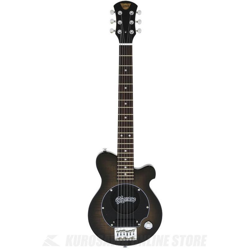 PIGNOSE PGG-200FM SBK 新品 + 新品ポット + etc. Pignose PGG-200FM