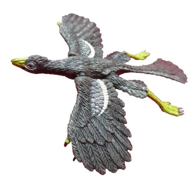 アーケオプテリクス ｍｏｖｅフィギュア恐竜 フィギュア S 0040 Honyaclub Com 雑貨館 通販 Yahoo ショッピング