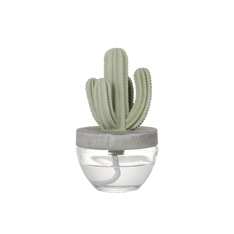 新品未使用＊ヤングリビング＊カクタスディフューザー＆オイル8本＊定価34000円 新品未使用＊ヤングリビング＊カクタスディフューザー＆オイル8本