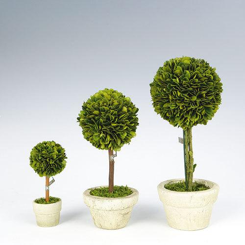ダルトン他プリザーブドグリーン トピアリー 6点セット DULTON（ダルトン） TOPIARY BALL L トピアリーボール L CH07-G297L (S
