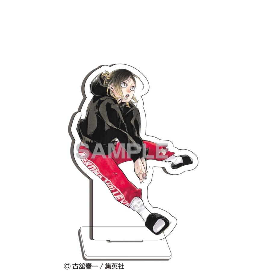 ハイキュー!! 10thクロニクル グッズ付き同梱版(S:0320 ハイキュー!! 10thクロニクル グッズ付き同梱版(S:0320