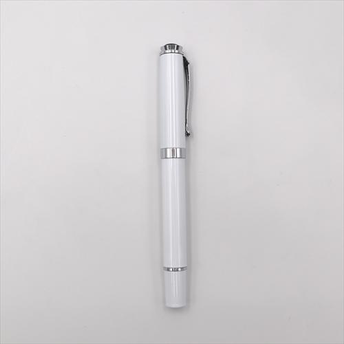 カジュアル万年筆２ WHITE SHILVER  (S:0040) | 