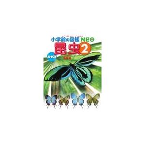 昆虫 ２/小池啓一｜honyaclubbook