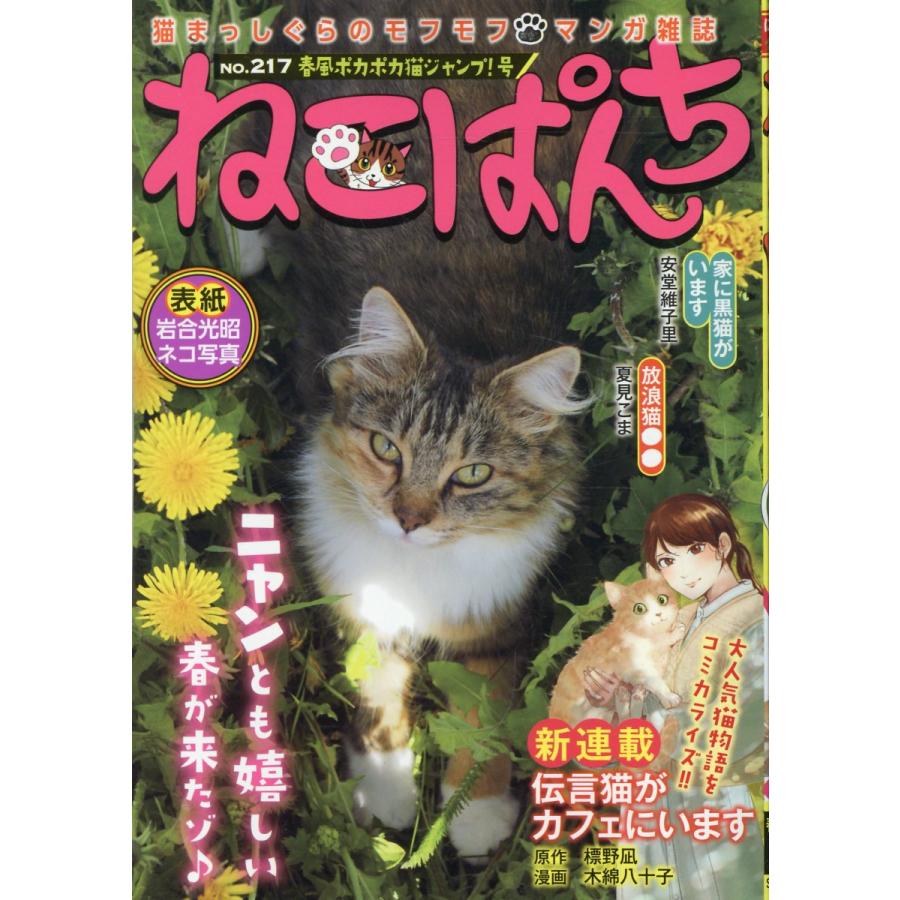 ネコパンチページ 翌日発送・ねこぱんち no．217/アンソロジー : Honya Club.com