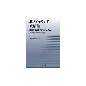 翌日発送・北アイルランド政治論/南野泰義