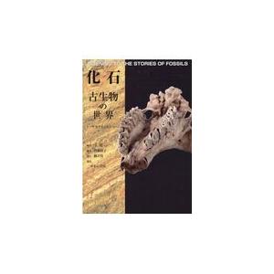 翌日発送・化石　古生物の世界/王原