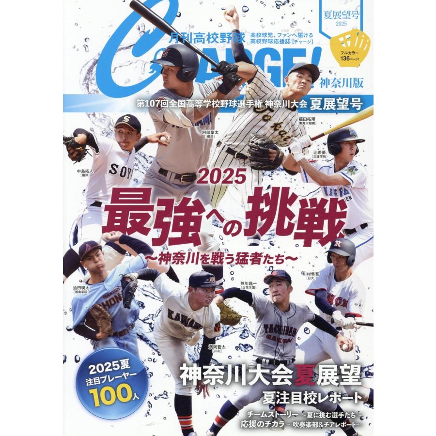 週刊甲子園の夏 全20号セット 週刊甲子園の夏 No1-20 全号
