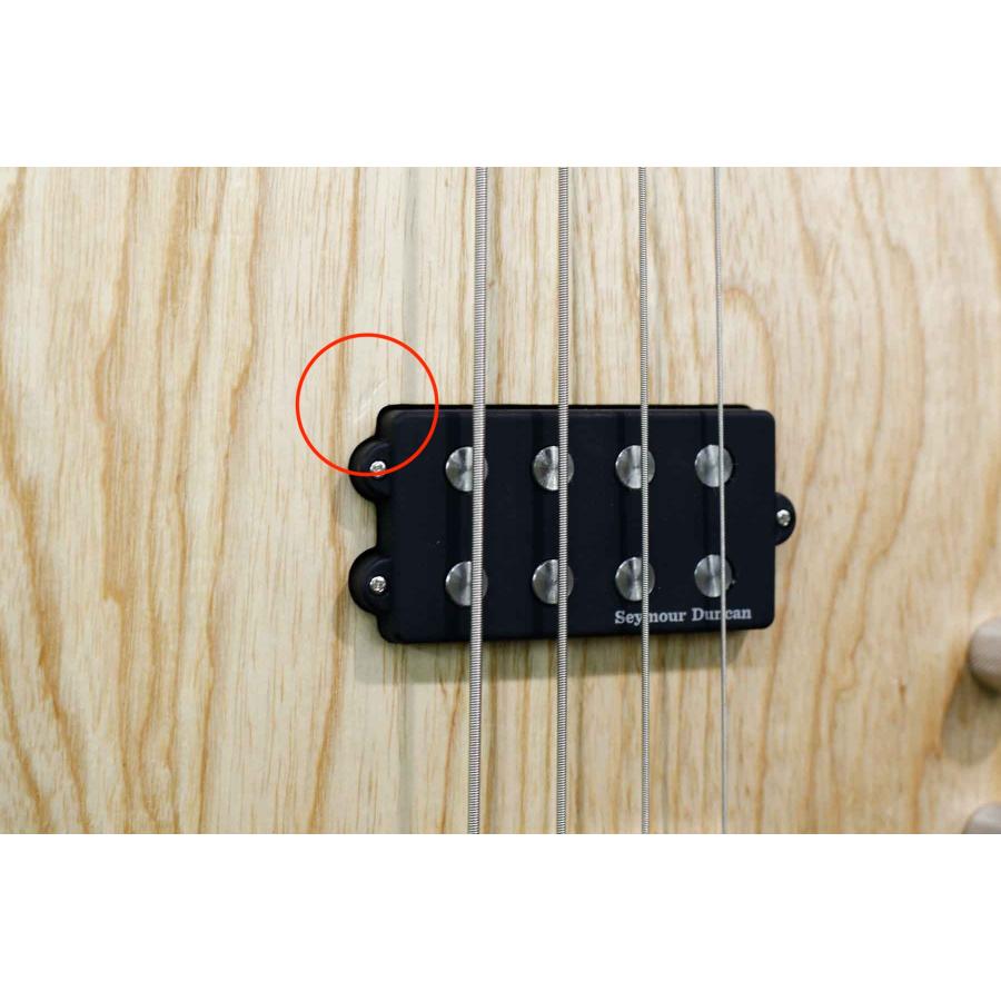 Crews Maniac Sound / NPB HB Passive｜Matte Natural PB クルーズ