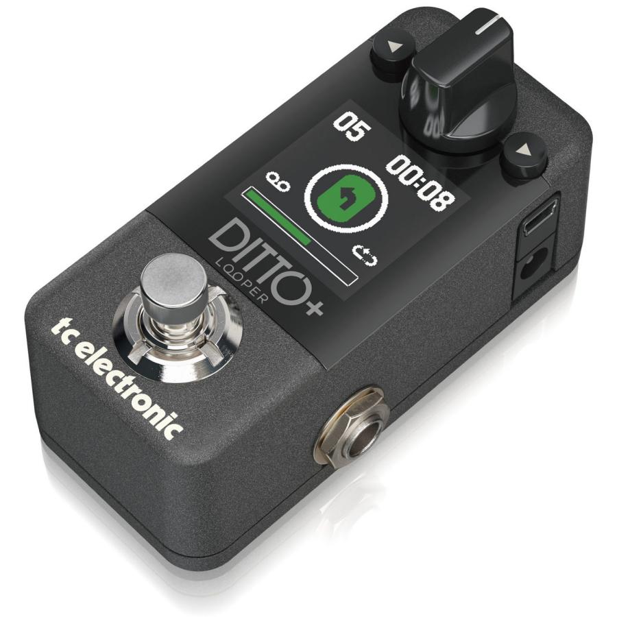 tc electronic / Ditto + Looper / ルーパー : hcs2023122002 