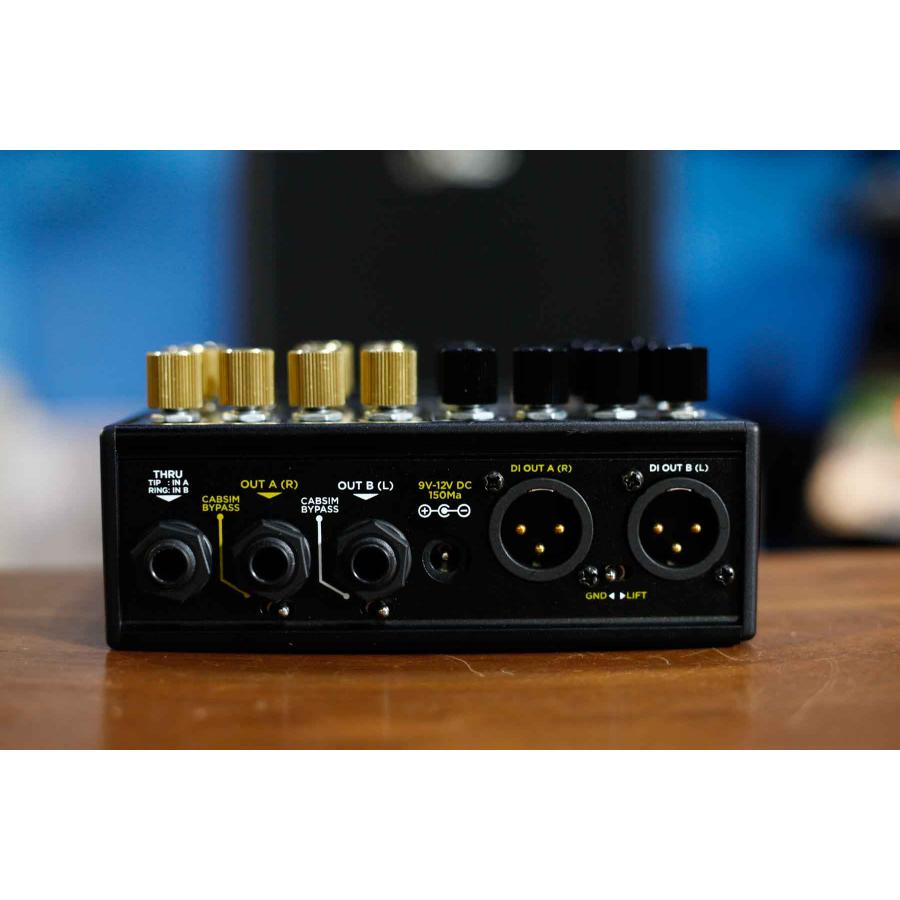 DSM & HUMBOLDT ELECTRONICS / SIMPLIFIER X 2CHアナログアンプ