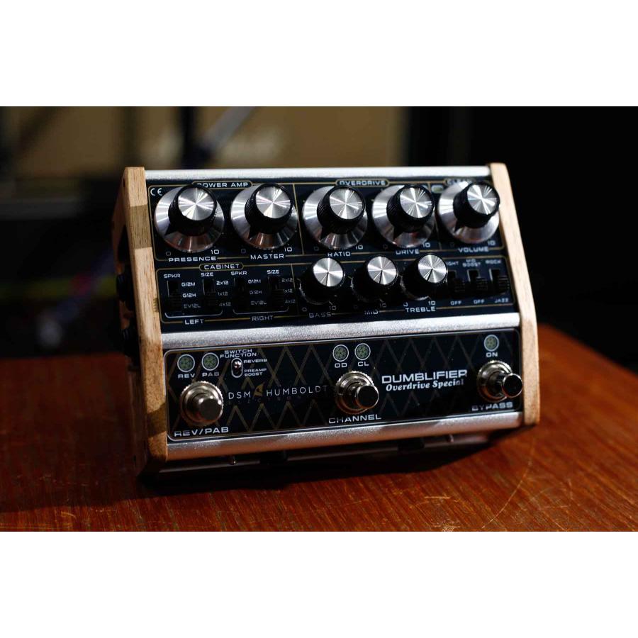 DSM & HUMBOLDT ELECTRONICS / DUMBLIFIER アンプ・キャビネット