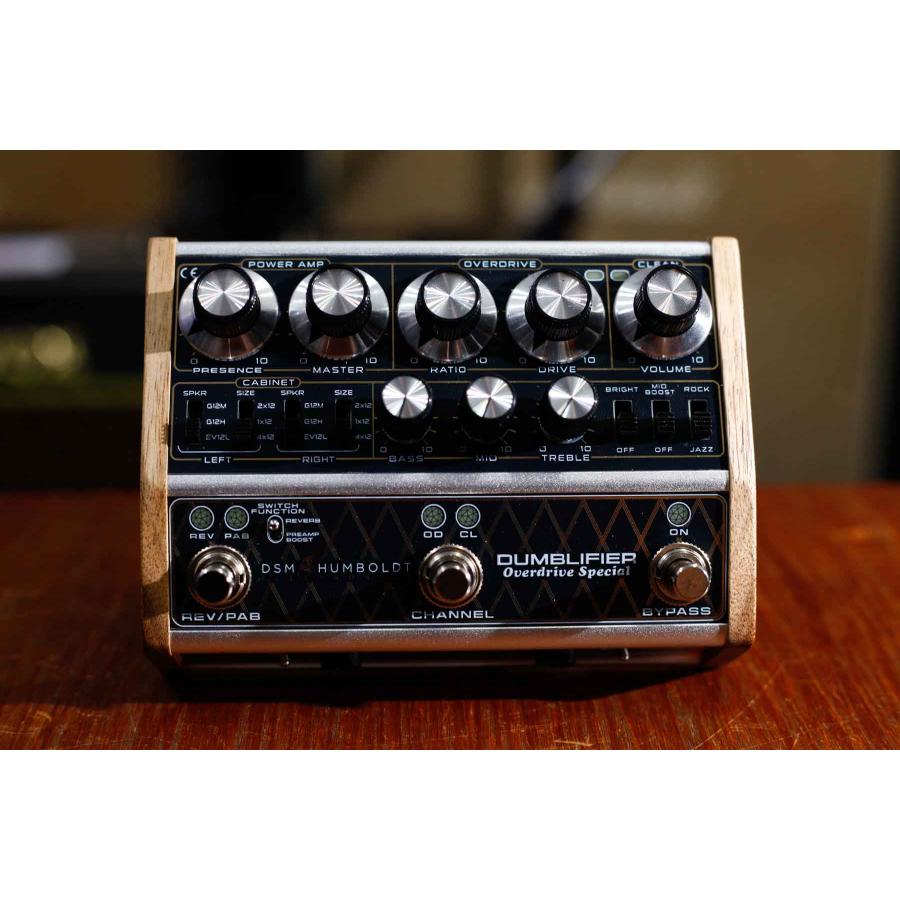 DSM & HUMBOLDT ELECTRONICS / DUMBLIFIER アンプ・キャビネット