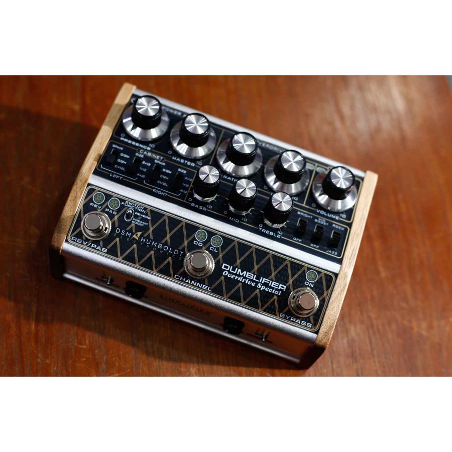 DSM & HUMBOLDT ELECTRONICS / DUMBLIFIER アンプ・キャビネット