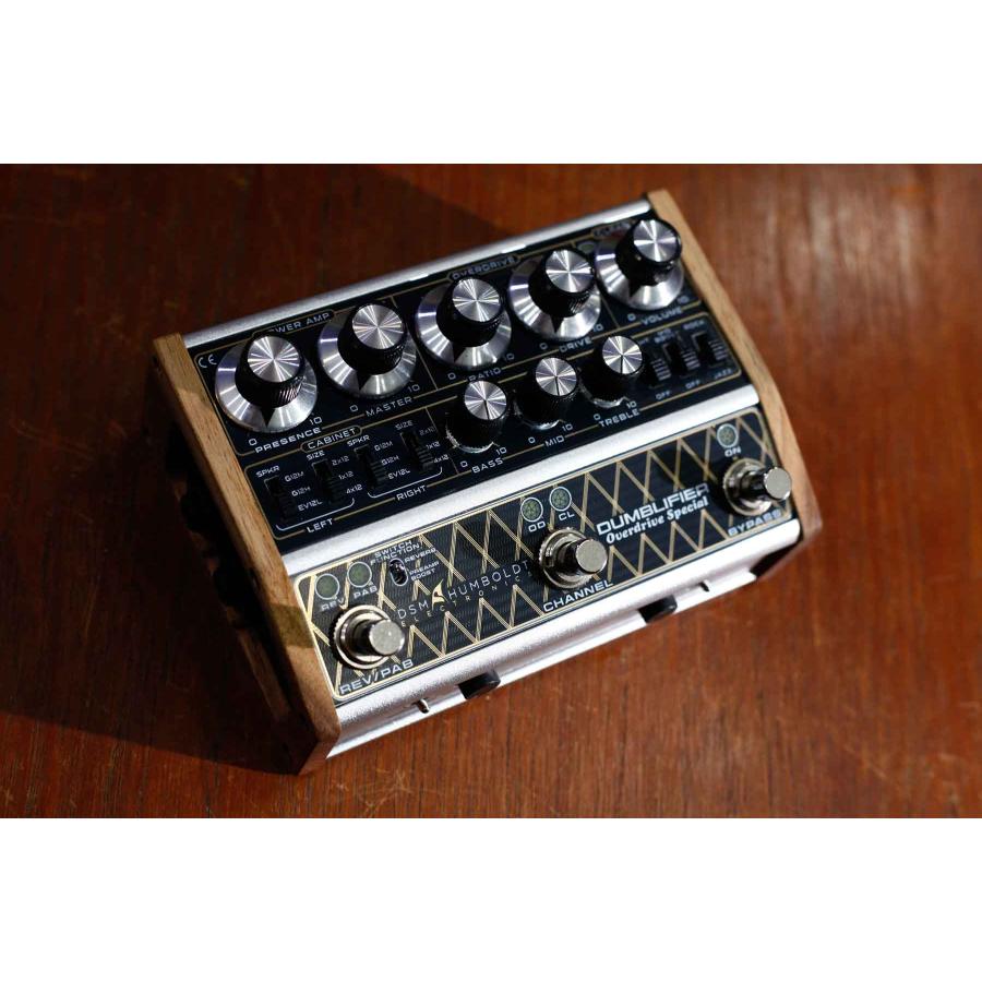 DSM & HUMBOLDT ELECTRONICS / DUMBLIFIER アンプ・キャビネット