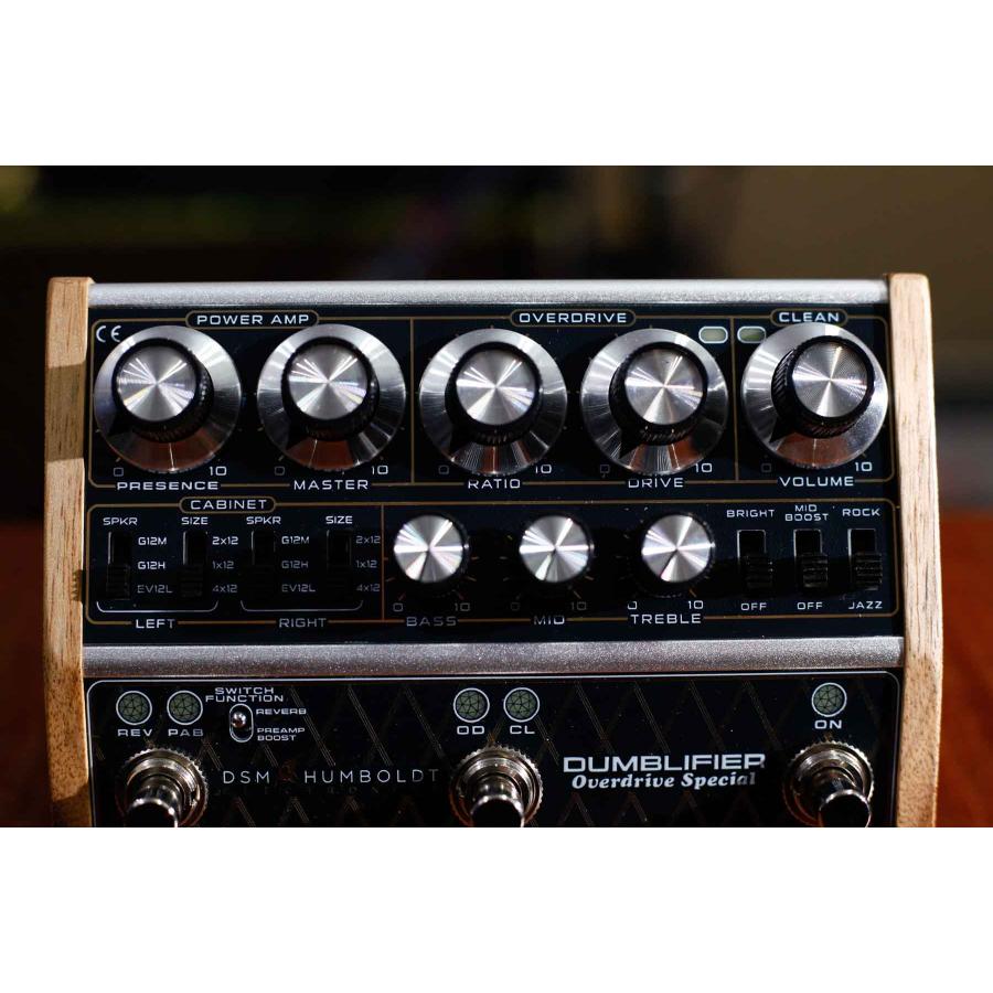 DSM & HUMBOLDT ELECTRONICS / DUMBLIFIER アンプ・キャビネット