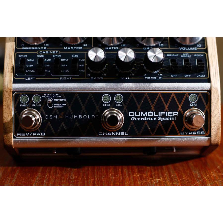 DSM & HUMBOLDT ELECTRONICS / DUMBLIFIER アンプ・キャビネット