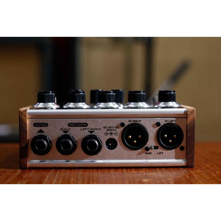 DSM & HUMBOLDT ELECTRONICS / DUMBLIFIER アンプ・キャビネット