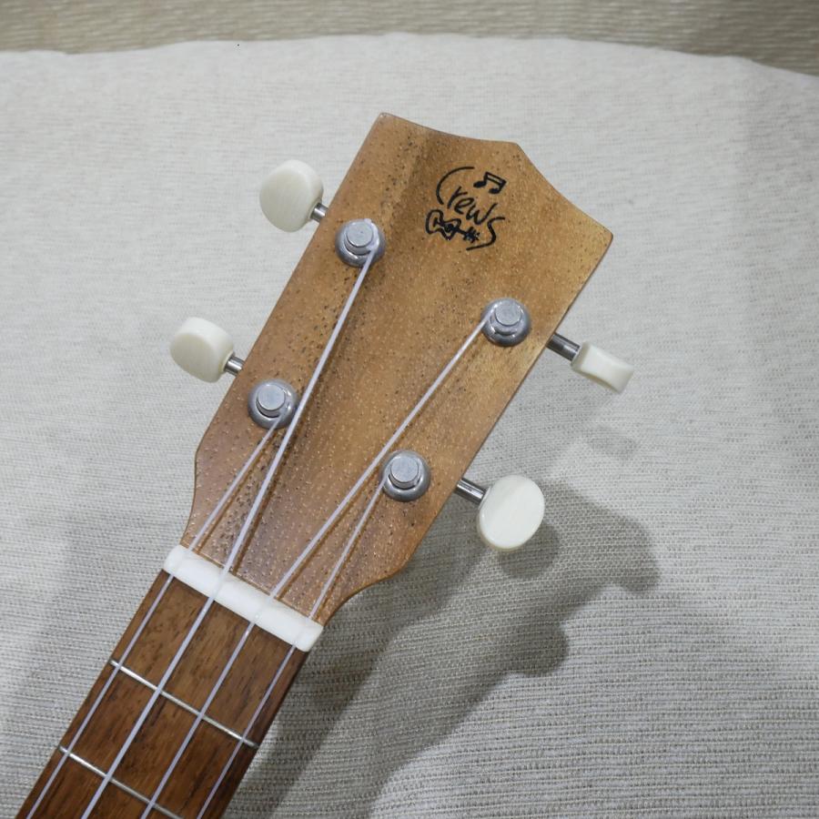 Crews Maniac Sound / Aylene II Acacia / Concert コンサート  