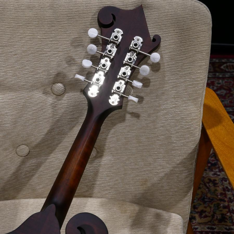 Eastman / MD 314 F-スタイルマンドリン マンドリン イースト