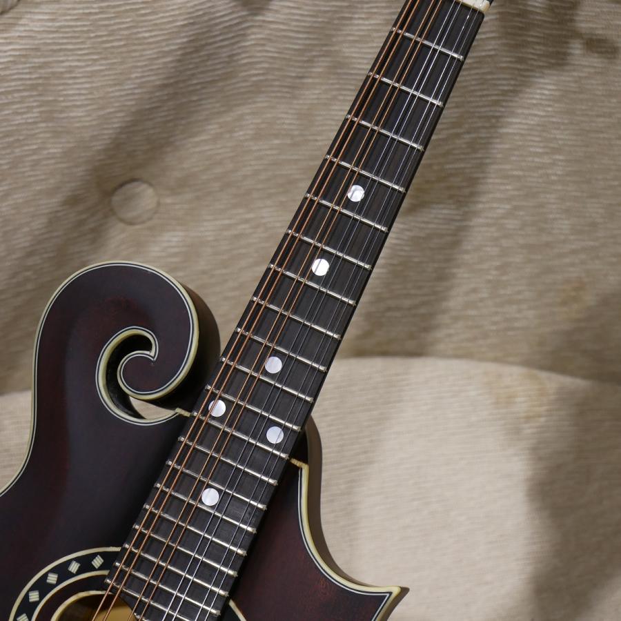 Eastman / MD 314 F-スタイルマンドリン マンドリン イースト