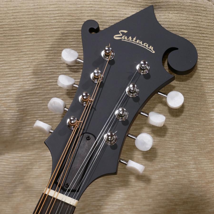 Eastman / MD 314 F-スタイルマンドリン マンドリン イースト