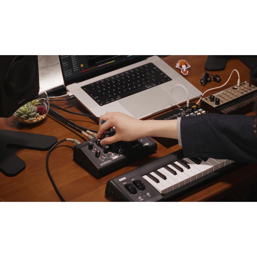 KORG（コルグ） KORG / microAUDIO 722 / ANALOGUE FILTER & AUDIO