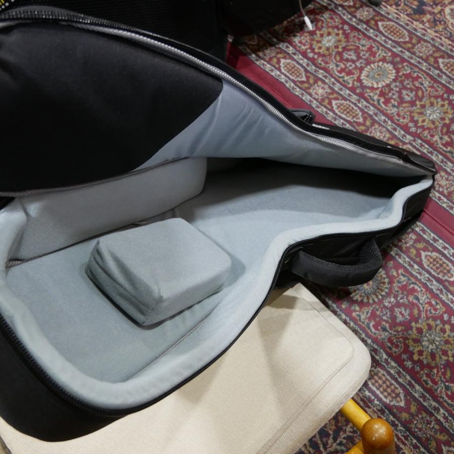 Crews Maniac Sound / Original Semi Hard Case Guitar セミハード