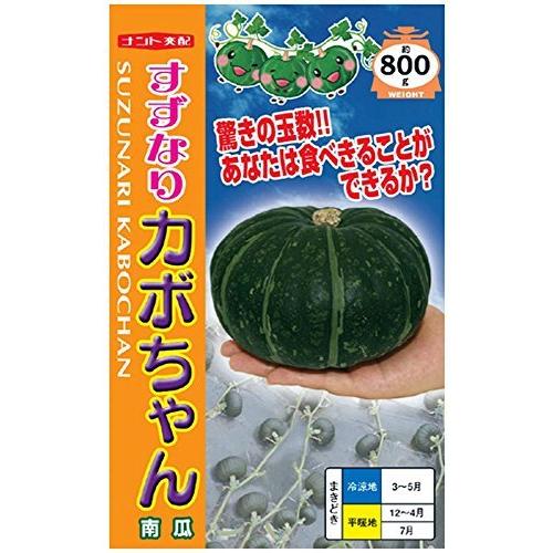 格安販売の ナント種苗 種子 すずなりかぼちゃん かぼちゃ