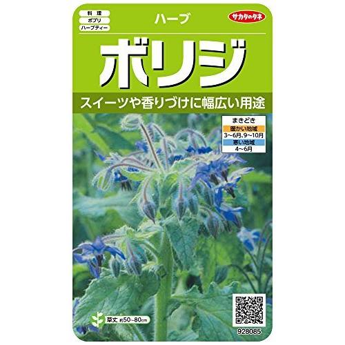 Hoola Storeサカタのタネ 実咲ハーブ8085 ボリジ ハーブ Sale 98 Off