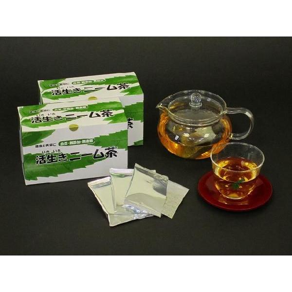 活生きニーム茶 インドセンダン健康茶 2g 25包入 10箱 健康維持 肌荒れ対策 ダイエット 送料無料 Satyakhabarindia Com