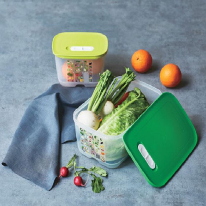 【最後の在庫】タッパーウェア MMダブル お野菜保存に 51cJH1LF3KL._AC_UF1000,