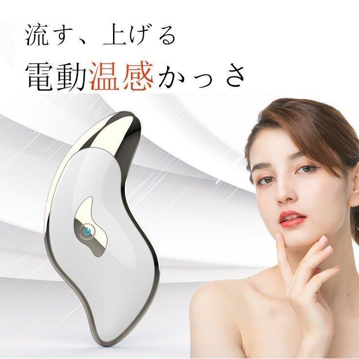 かっさ 電動 かっさプレート リフトアップ 美顔器 温熱/振動 老廃物