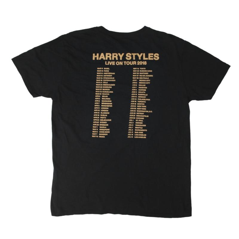 ハリースタイルズ ツアーTシャツ Harry Styles 古着 【メール便可