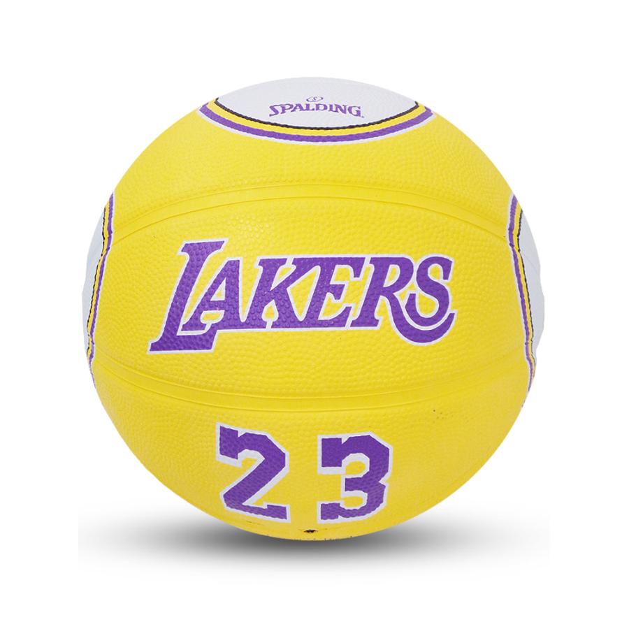 spalding lebron james basketball