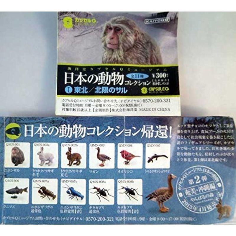 カプセルqミュージアム 日本の動物コレクション1 東北 北限のサル 全12種セット シークレット入り 000 Hooyuuhome2号店 通販 Yahoo ショッピング