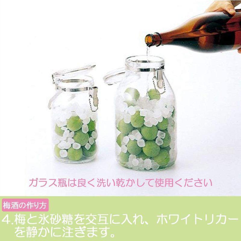 セラーメイト 取手付 密封瓶 保存容器 梅酒 びん 果実酒 づくり 2l ガラス 日本製 2308 0eomlyv3mg Godawaripowerispat Com