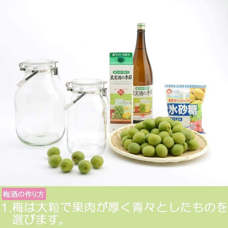 セラーメイト 取手付 密封瓶 保存容器 梅酒 びん 果実酒 づくり 2l ガラス 日本製 2308 0eomlyv3mg Godawaripowerispat Com