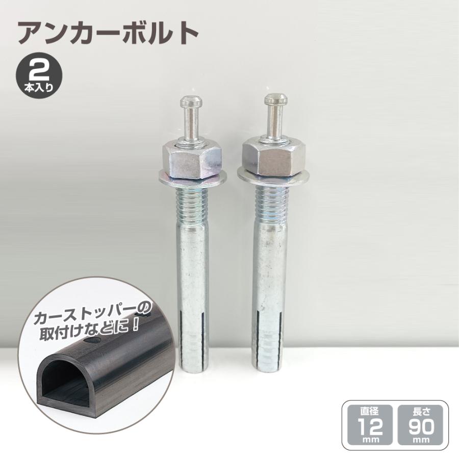 SUSアンカー太さ10mm長さ10cm