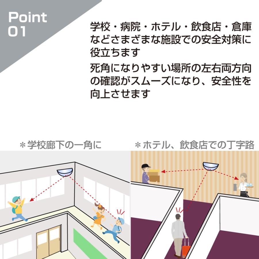 カーブミラー 室内 防犯ミラー 半球ミラーハーフ 約730×365×210mm 