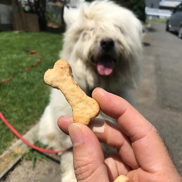 ５袋 犬用チーズおからクッキー 60g 犬用 おやつ おから チーズ クッキー 北海道産小麦 イタリア製オリーブオイル ニュージーランド産パルメザンチーズ |  | 02