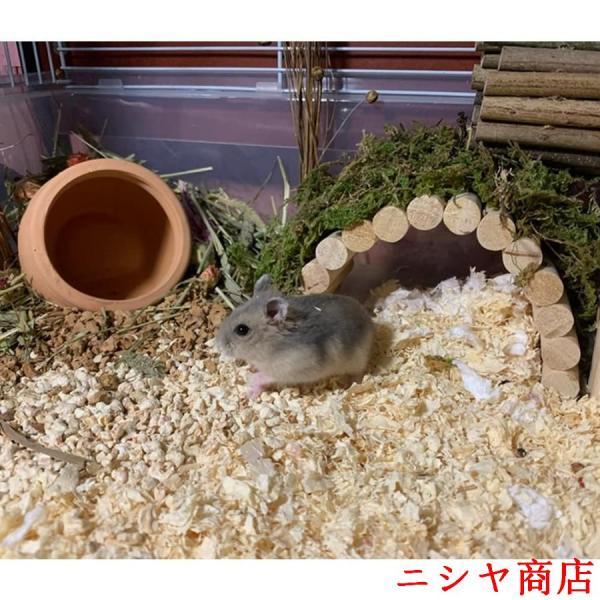 ハムスター ハウス 陶器 寝床 おうち おへや 夏用 隠れ家 日陰 涼感 暑