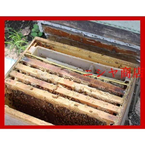 ミツバチ巣箱 養蜂箱 蜜蜂 蜂ハイブ ミツバチ 蜂の巣 ハチミツの家