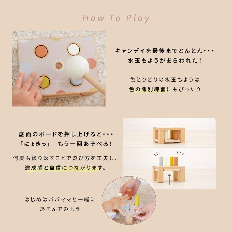 ホップル　ホップルハウス　定価65780円 12/17発売！“新感覚のお酒”HOPPLE(ホップル)がローソン限定で新発売