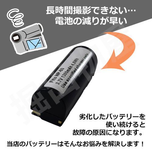 充電器セット フジフィルム(FUJIFILM) NP-80 / DB-20 互換 充電器セット フジフィルム(FUJIFILM) NP-80 / DB-20 互換