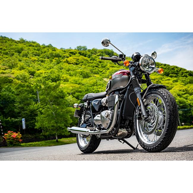 DUNLOP（ダンロップ） TT100GP (3.00-18) 47S WT フロント/リア