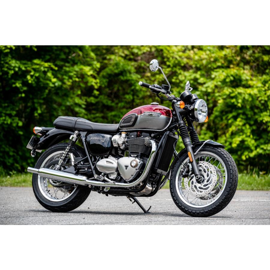 DUNLOP（ダンロップ） TT100GP (120/80-17) 61H TL フロント/リア