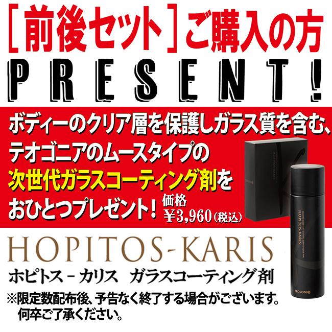 PIRELLI（ピレリ） 在庫有 コーティング剤プレゼント X11 1100/2000