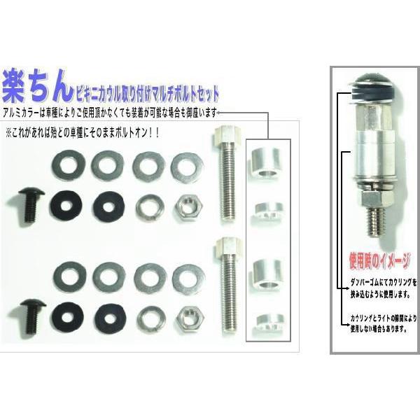フロントカウル 汎用 ビキニカウル 用 取付けボルト 専用ボルト Nプロ