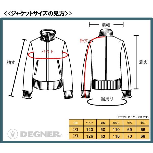 DEGNER デグナー レザー ジャケット 7WJ-12A ブラック/Mサイズ_3