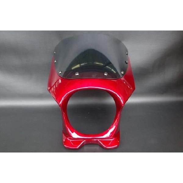 aiNET（アイネット） (YBR250) ビキニカウル 赤/レッド (エアロ